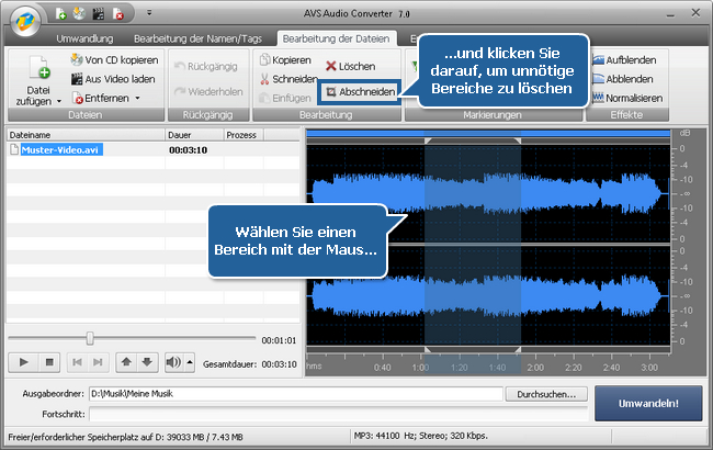 Wie exportiert man den Ton aus einer Videodatei mit dem AVS Audio Converter? Schritt 3