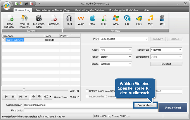 Wie exportiert man den Ton aus einer Videodatei mit dem AVS Audio Converter? Schritt 5