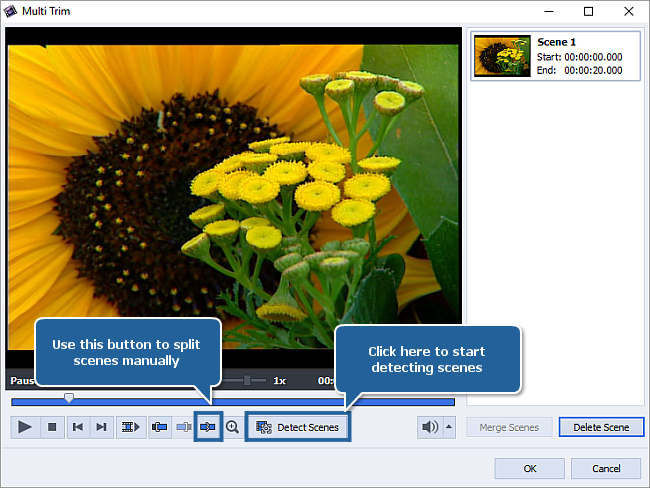 How to split videos using AVS Video Editor? Step 2