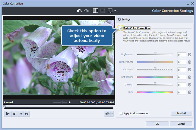 How To Correct Color In Your Video Using Avs Video Editor