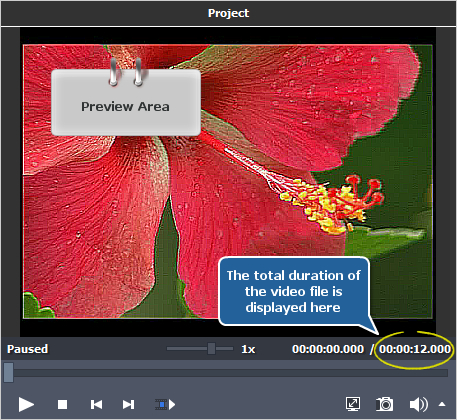 How to remove interlacing artifacts from a video using AVS Video Editor? Step 2