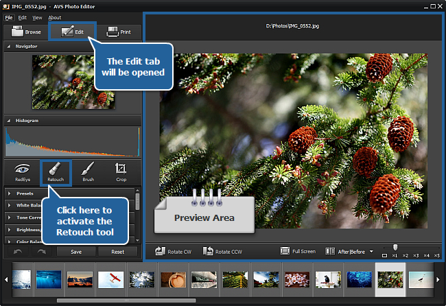 free photo editing clone tool online