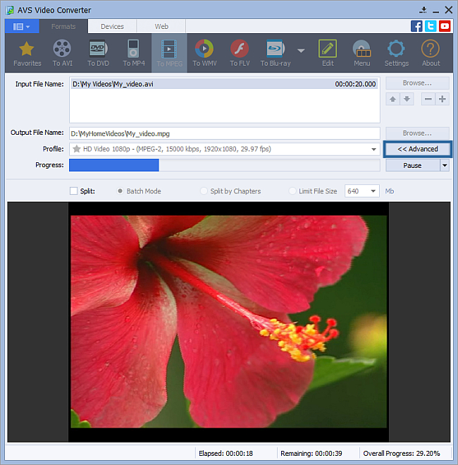How to convert video to DivX, Xvid, AVI, MPEG, WMV, MOV? Step 5