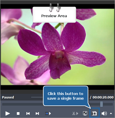 How to export image from video? Step 4