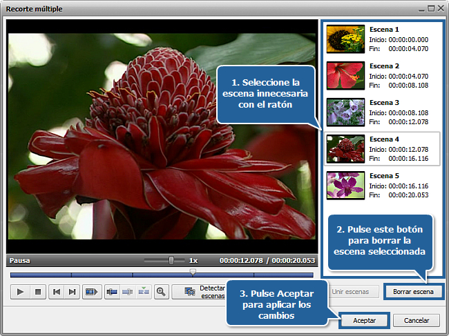 ¿Cómo editar un DVD de vídeo casero con AVS Video ReMaker? Paso 3