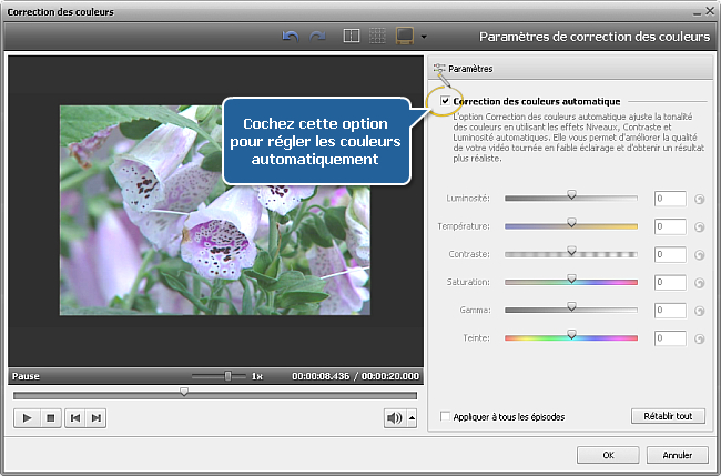 Comment corriger les couleurs d'une vidéo avec AVS Video Editor? Etape 2
