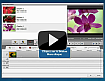 Come convertire file video in DVD con AVS Video Converter ? Clicca qui per visualizzare