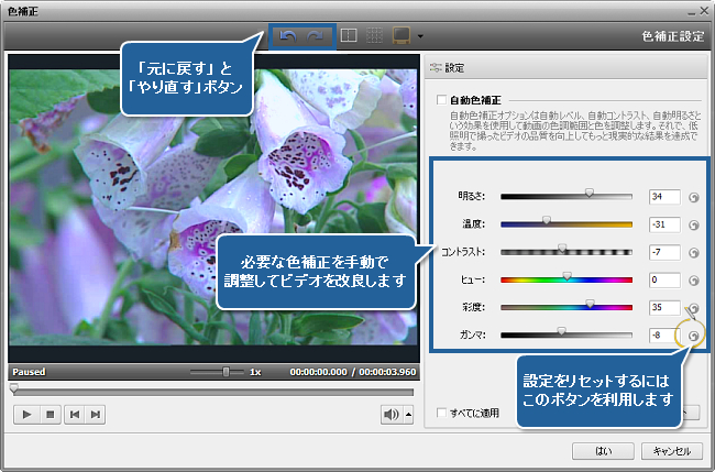 AVS Video Editor で動画の色を補正する方法。ステップ 2