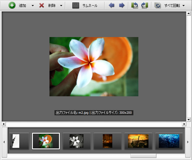 How to avoid the loss of some image areas while resizing? Step 3
