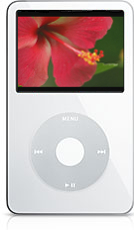 Apple iPod ビデオ MP4 形式への動画変換の方法. ステップ 6